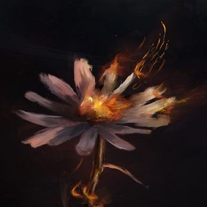 Meet your Posher, Miguel